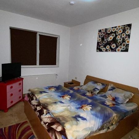 Apartament cochet Appartamento Bucarest Esterno foto