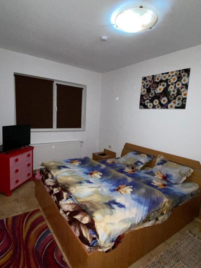 Apartament cochet Appartamento Bucarest Esterno foto